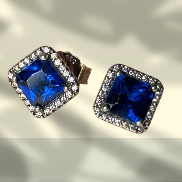 Elegant Blue and Silver Stud Earrings - Picture 6 of 9